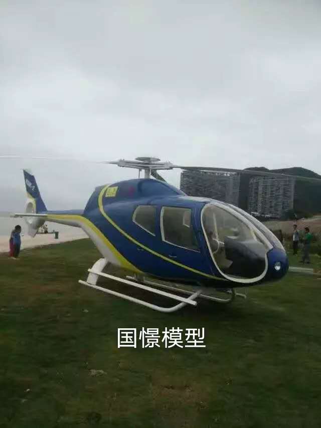 巴楚县飞机模型